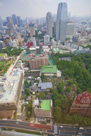 Picture 027 Tokyo .jpg