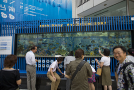 Picture 061 Tokyo .jpg