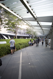 Picture 069 Tokyo .jpg